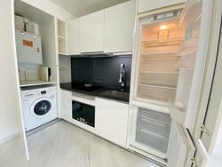Lincoln Suites (D11), Condominium #481296321